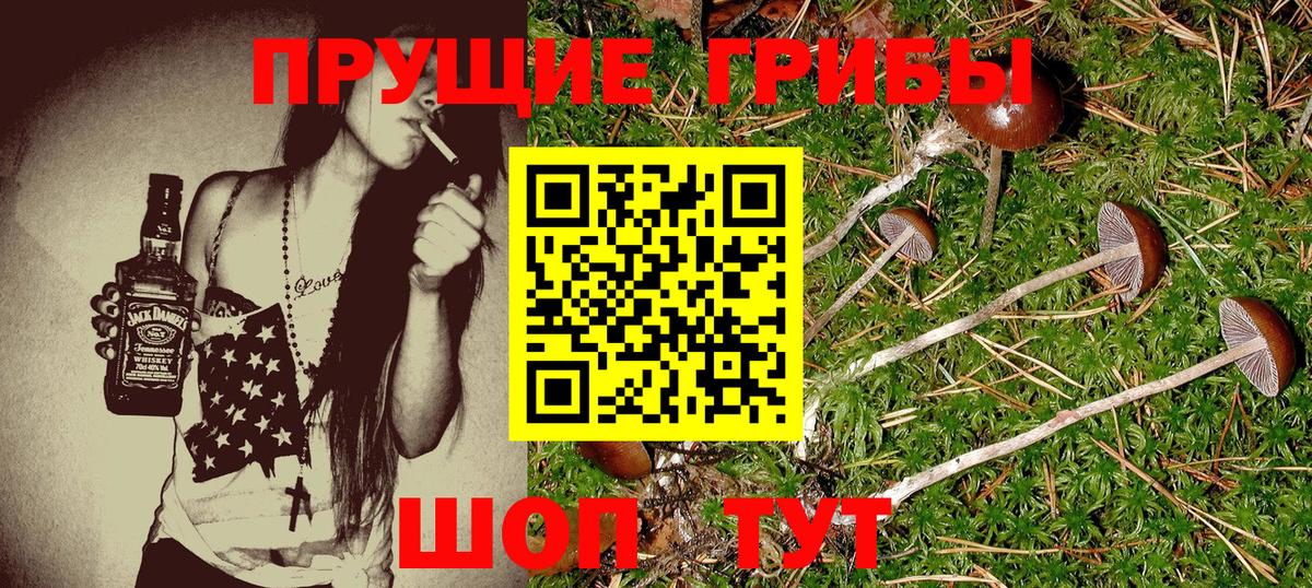 Галлюциногенные грибы Cubensis Светлоград