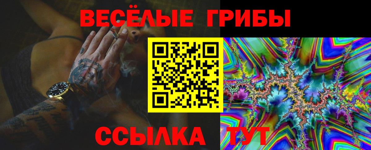 Галлюциногенные грибы Psilocybe  Вход с VPN  цены наркотик  Светлоград 