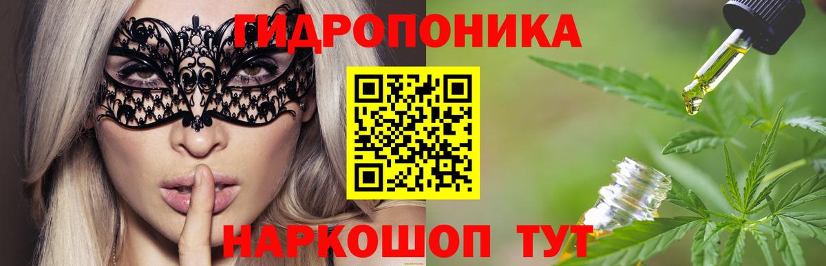 Каннабис план Светлоград